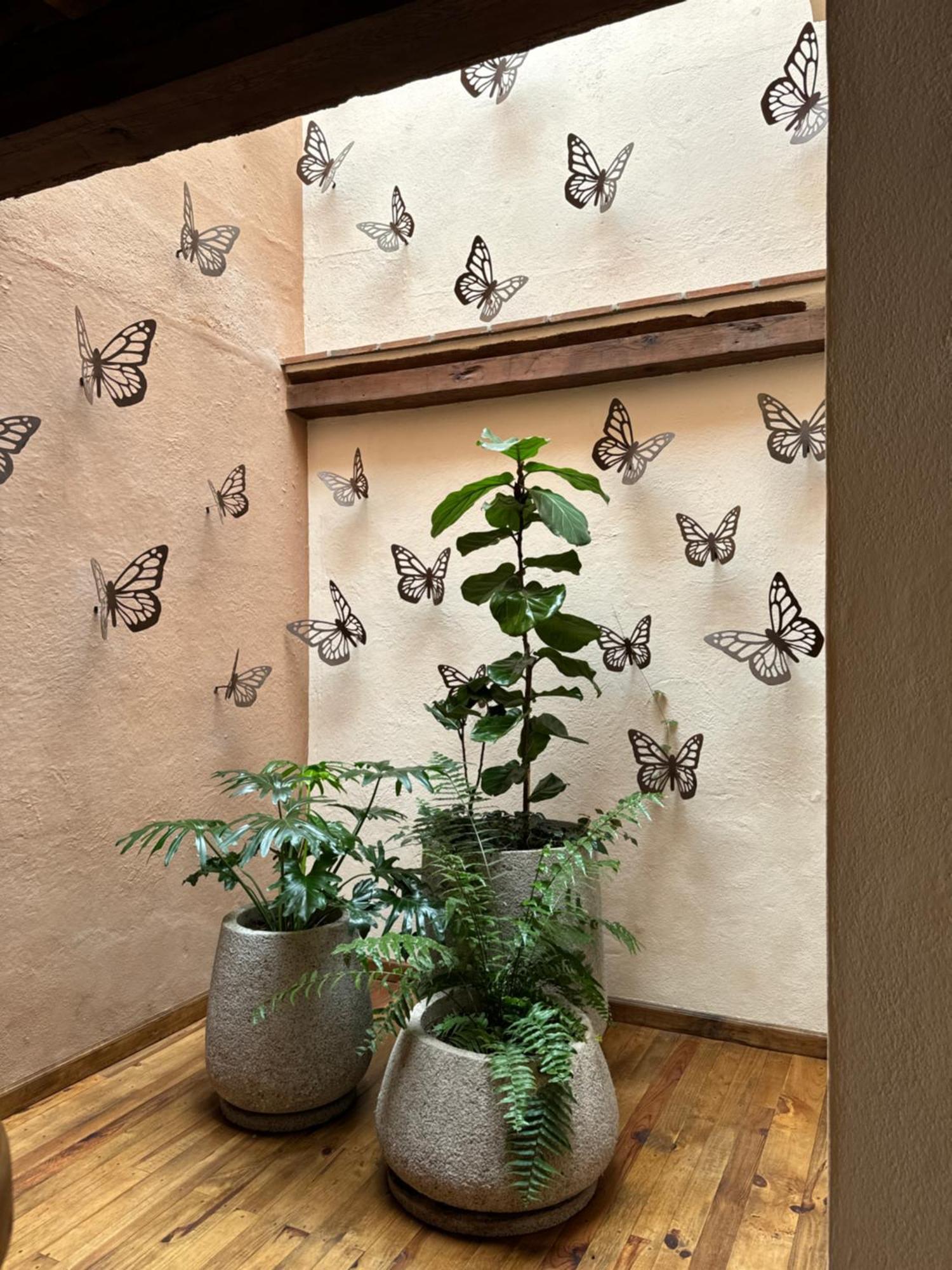 Hotel Ibarra 14 Pátzcuaro Екстериор снимка